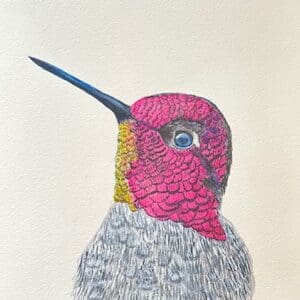 A bird with pink feathers and yellow beak.