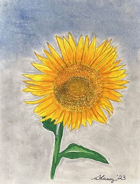 A sunflower with yellow petals and green leaves.