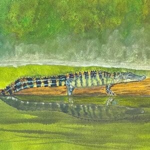 A painting of an alligator in the water