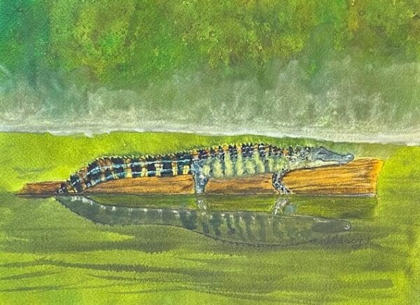 A painting of an alligator in the water