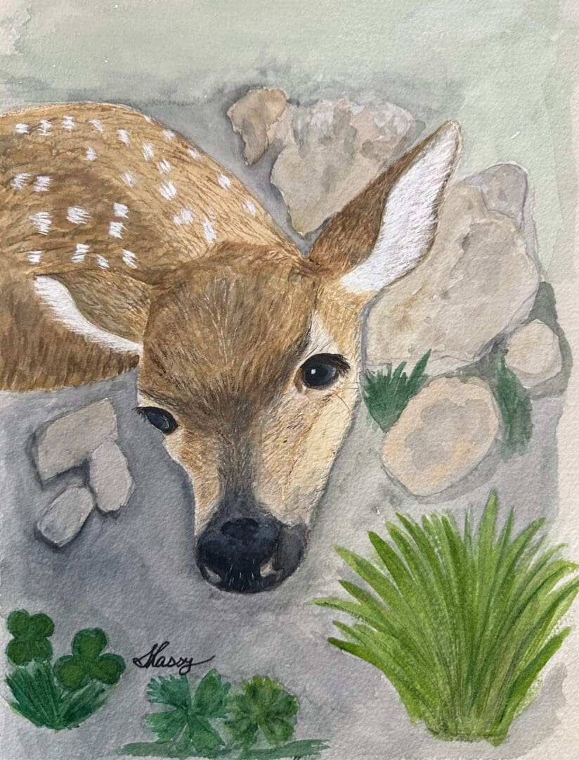 A painting of a deer with horns and a grass plant.